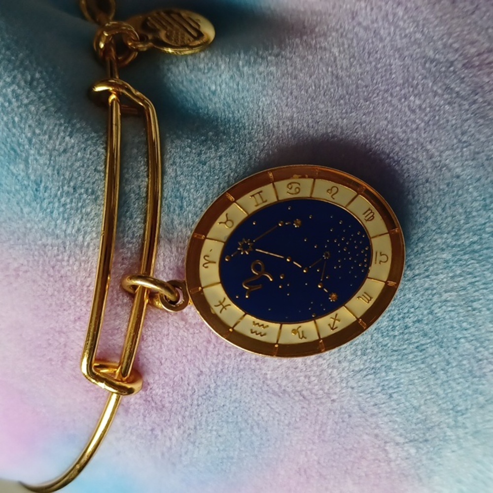 Capricorn Celestial Wheel expandable bangle by Alex and Ani RARE/DISCONTINUED